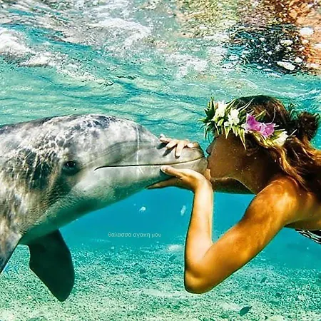 Kissos * 沃尔沃罗